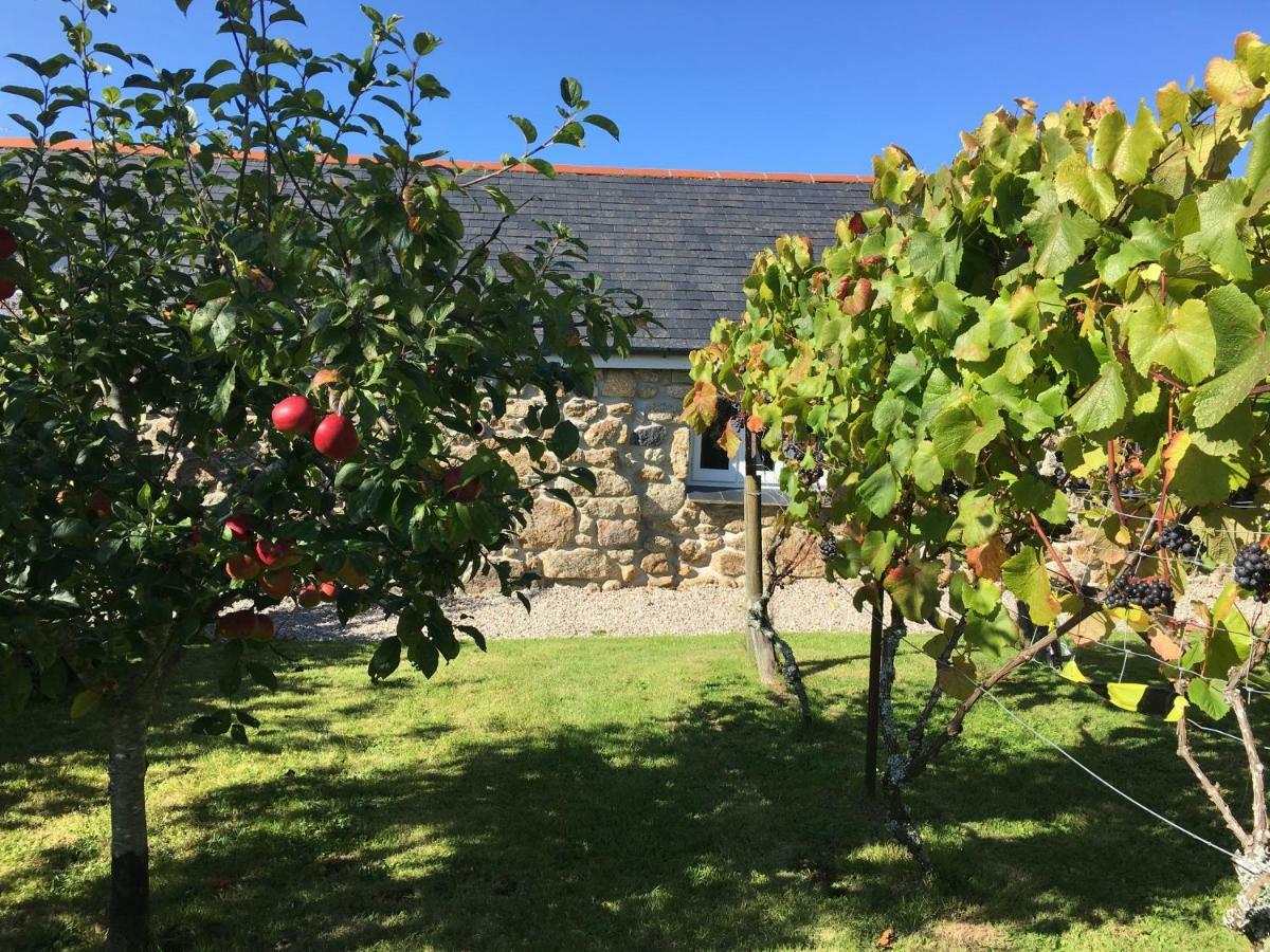 Cobblestone Cottage Penzance Esterno foto